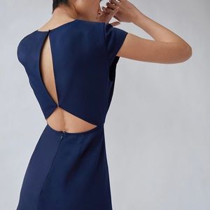 Aritzia-Babaton Hamptons mini dress